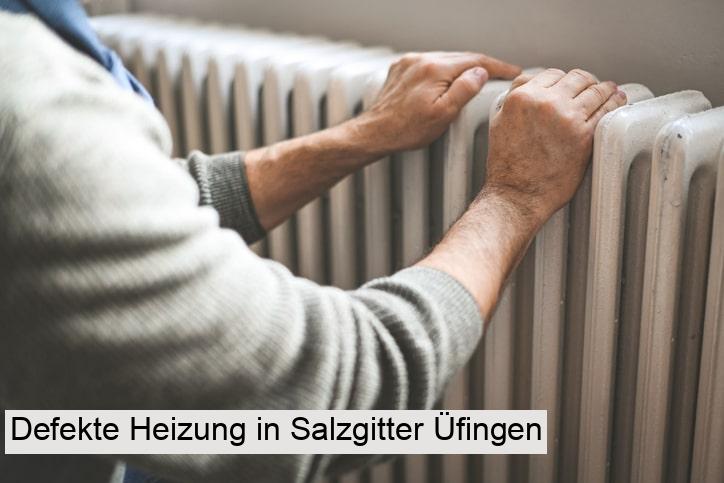 Defekte Heizung in Salzgitter Üfingen